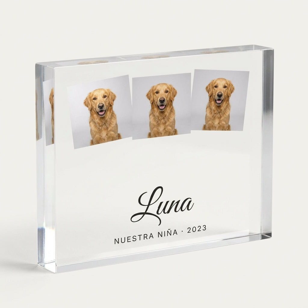 Bloque de metacrilato personalizado de mascota girado para ver el grosor del acrílico