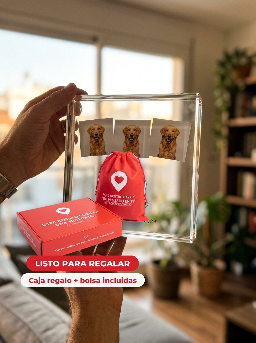 Bloque Mascota — llega en su caja regalo con bolsa, listo para regalar