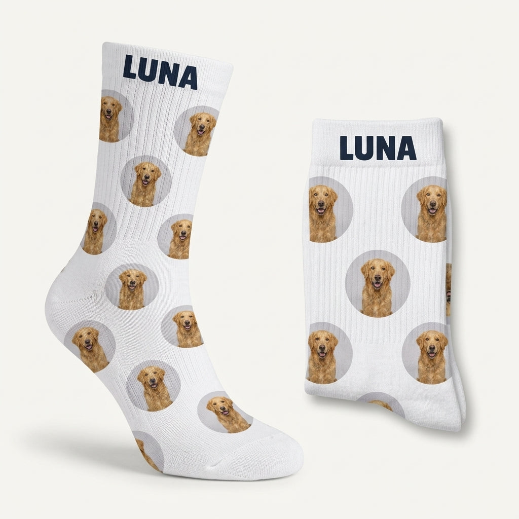 Calcetines personalizados de mascota, foto de estudio sobre fondo neutro
