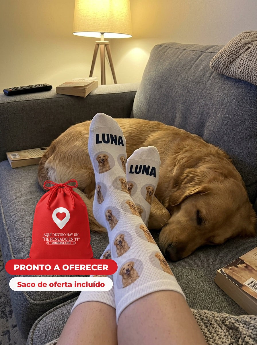 Calcetines Mascota — llega en su bolsa de regalo, listo para regalar