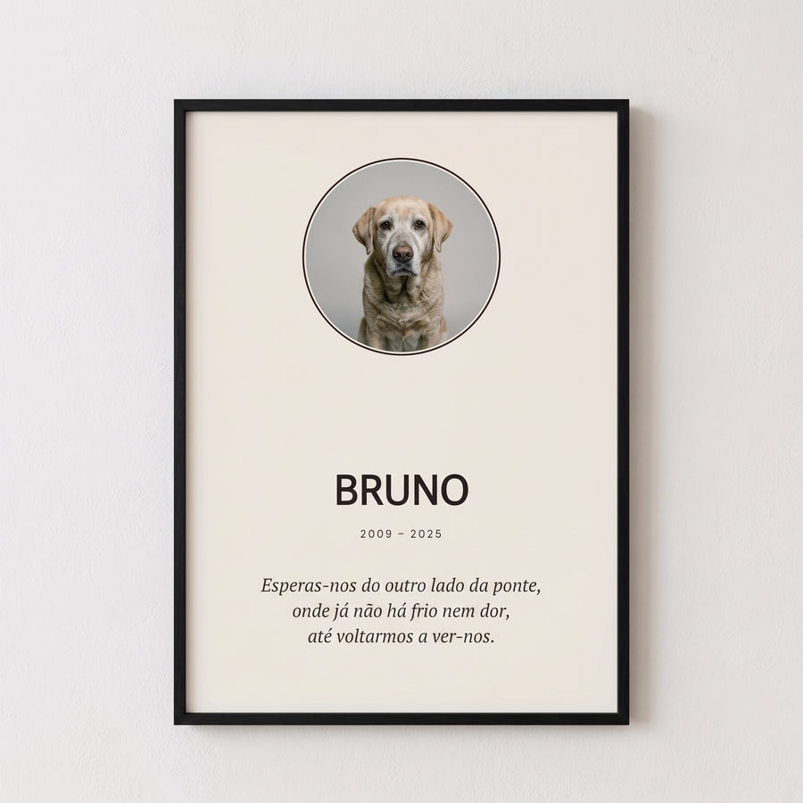 Quadro Animal Memorial