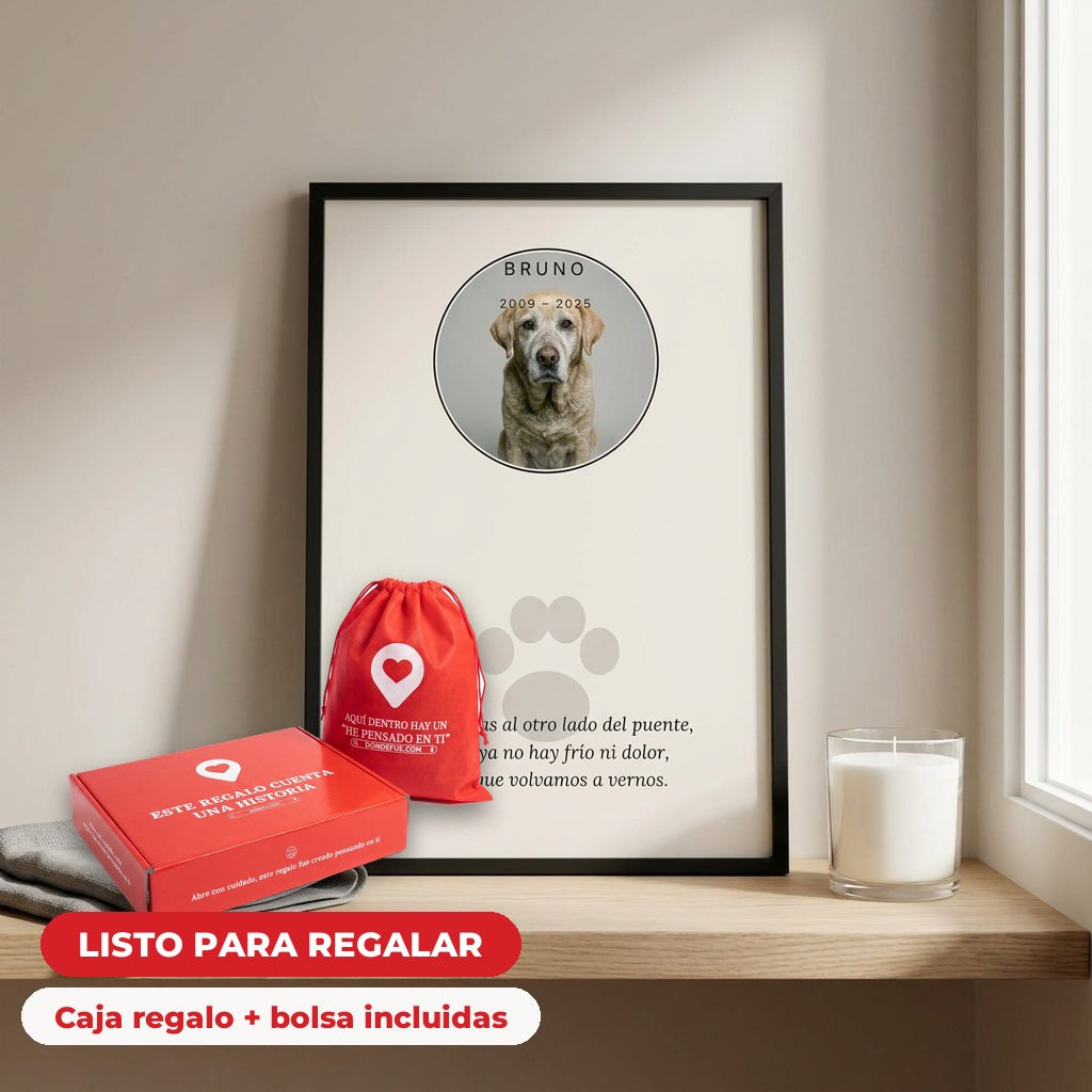 Cuadro Mascota Memorial — llega en su caja regalo con bolsa, listo para regalar