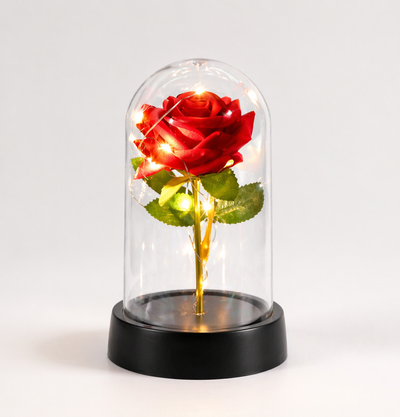 Rosa Eterna Lámpara
