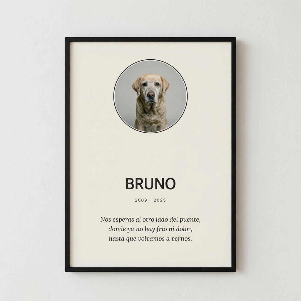 Cuadro memorial personalizado para mascota con su foto, su nombre y sus años, colgado en una pared clara
