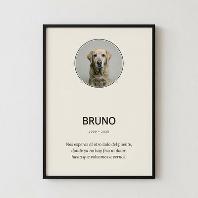 Cuadro Mascota Memorial