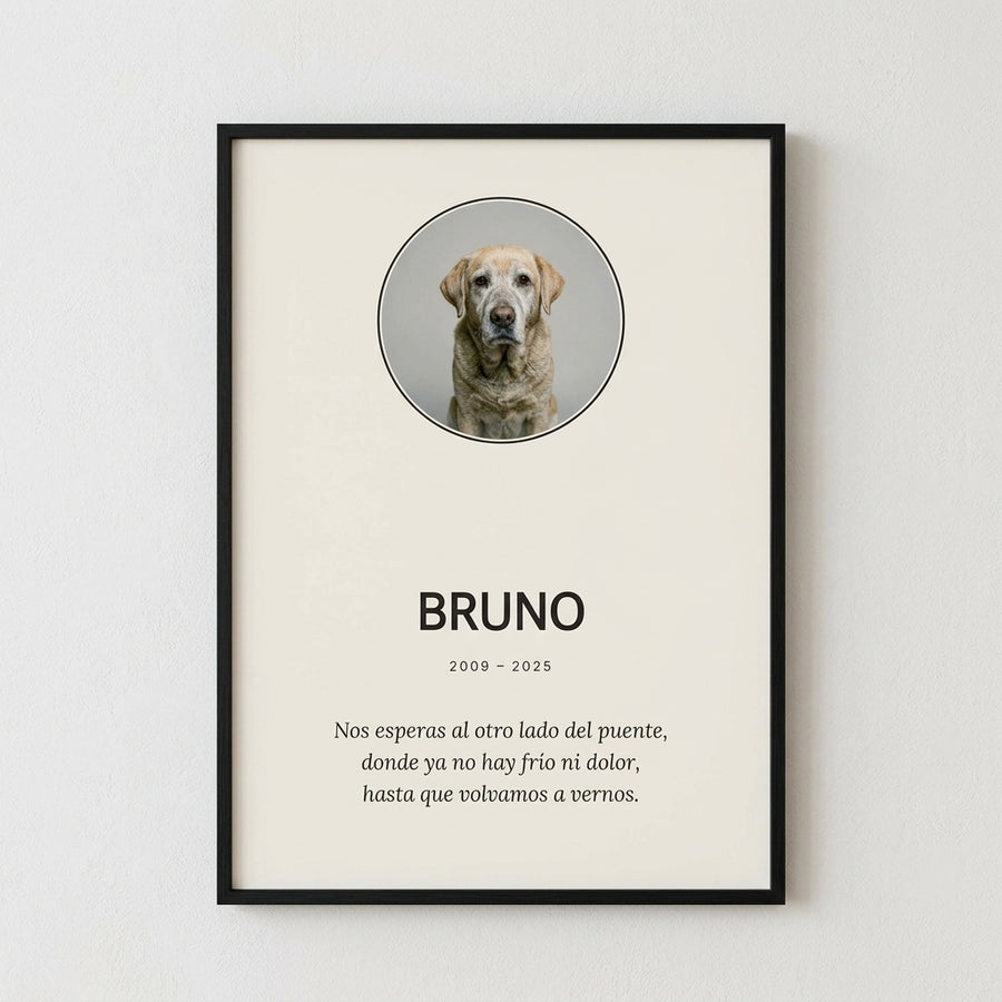 Cuadro Mascota Memorial
