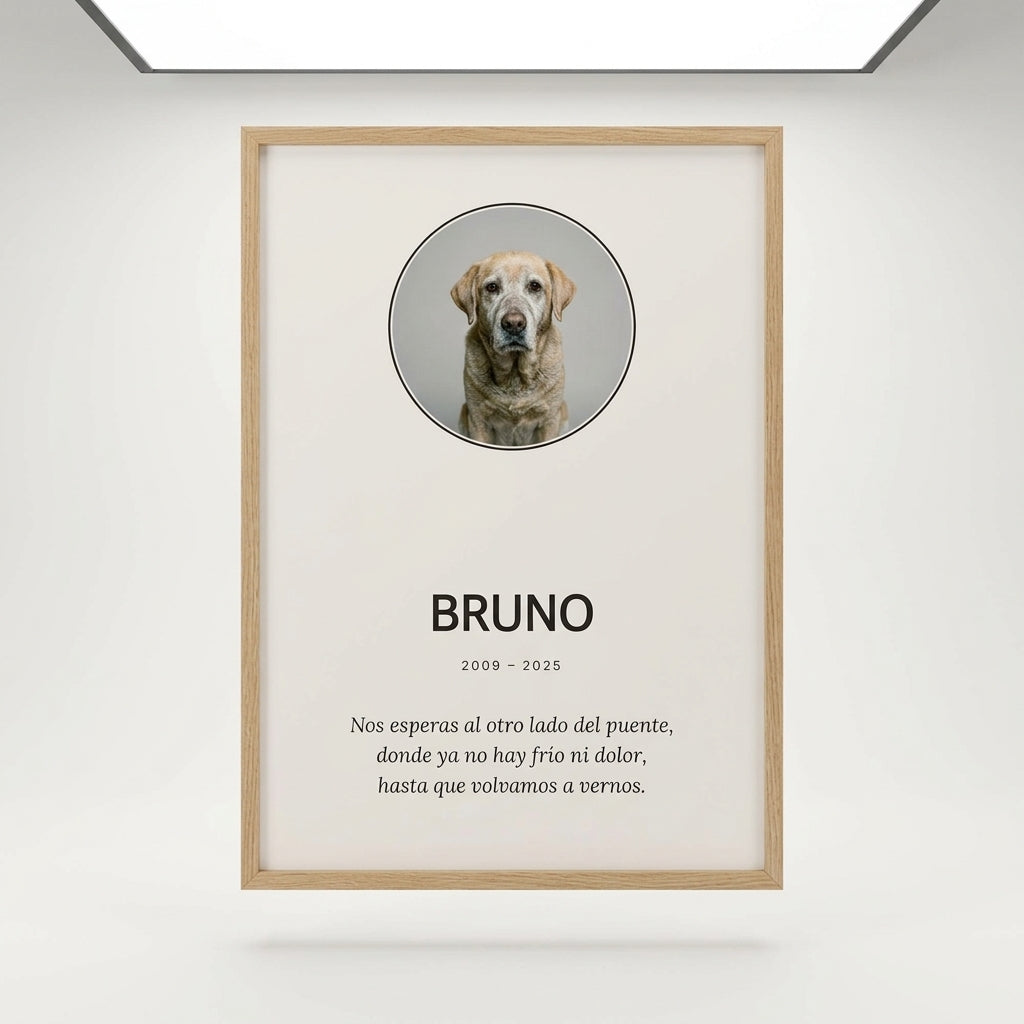 Cuadro memorial personalizado de mascota en marco de roble, foto de estudio sobre fondo neutro