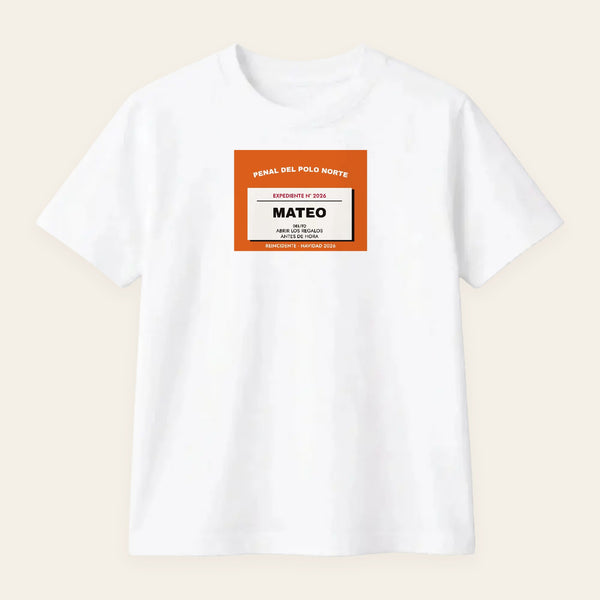 Camiseta o Sudadera Penal del Polo Norte