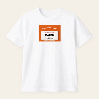 Camiseta o Sudadera Penal del Polo Norte